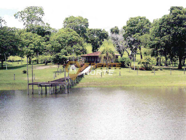 #4 - Fazenda para Venda em Poconé - MT